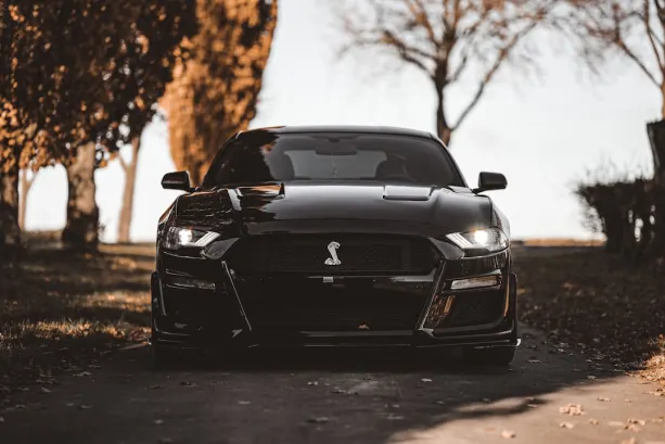 Casino777 Casino Aip Android/iOS